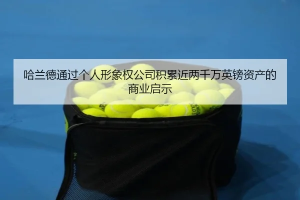 哈兰德通过个人形象权公司积累近两千万英镑资产的商业启示 - LEJINGSPORTS
